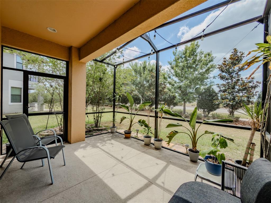 4730 Wandering Way Wesley Chapel, FL 33544 - Photo 49 of 61