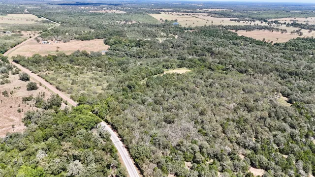 a view of a dry yard with trees