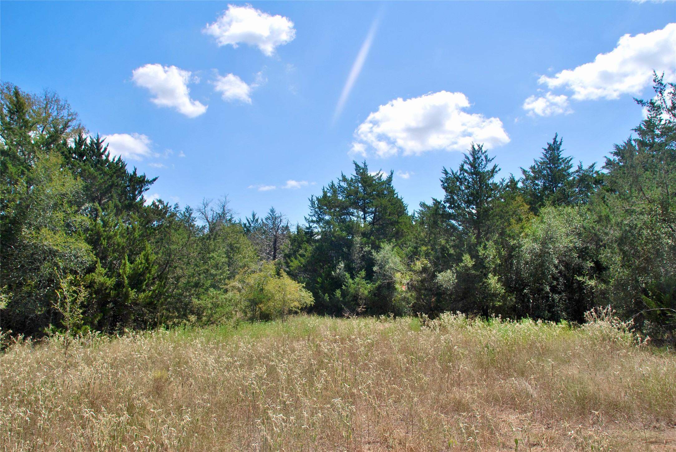 Tbd Rosanky Road Flatonia, TX 78941 - Photo 13 of 22 a view of a bunch of trees in the background