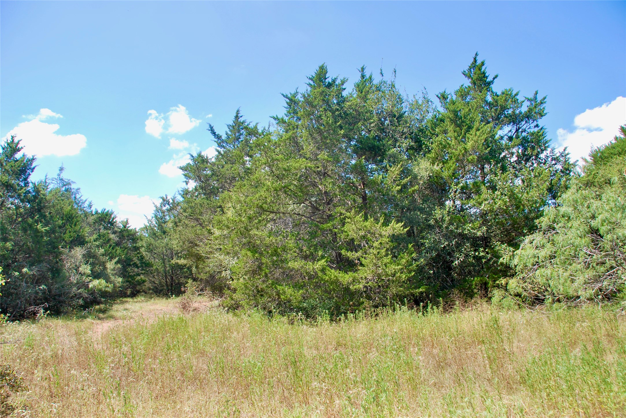 Tbd Rosanky Road Flatonia, TX 78941 - Photo 14 of 22 a view of a lake from a yard