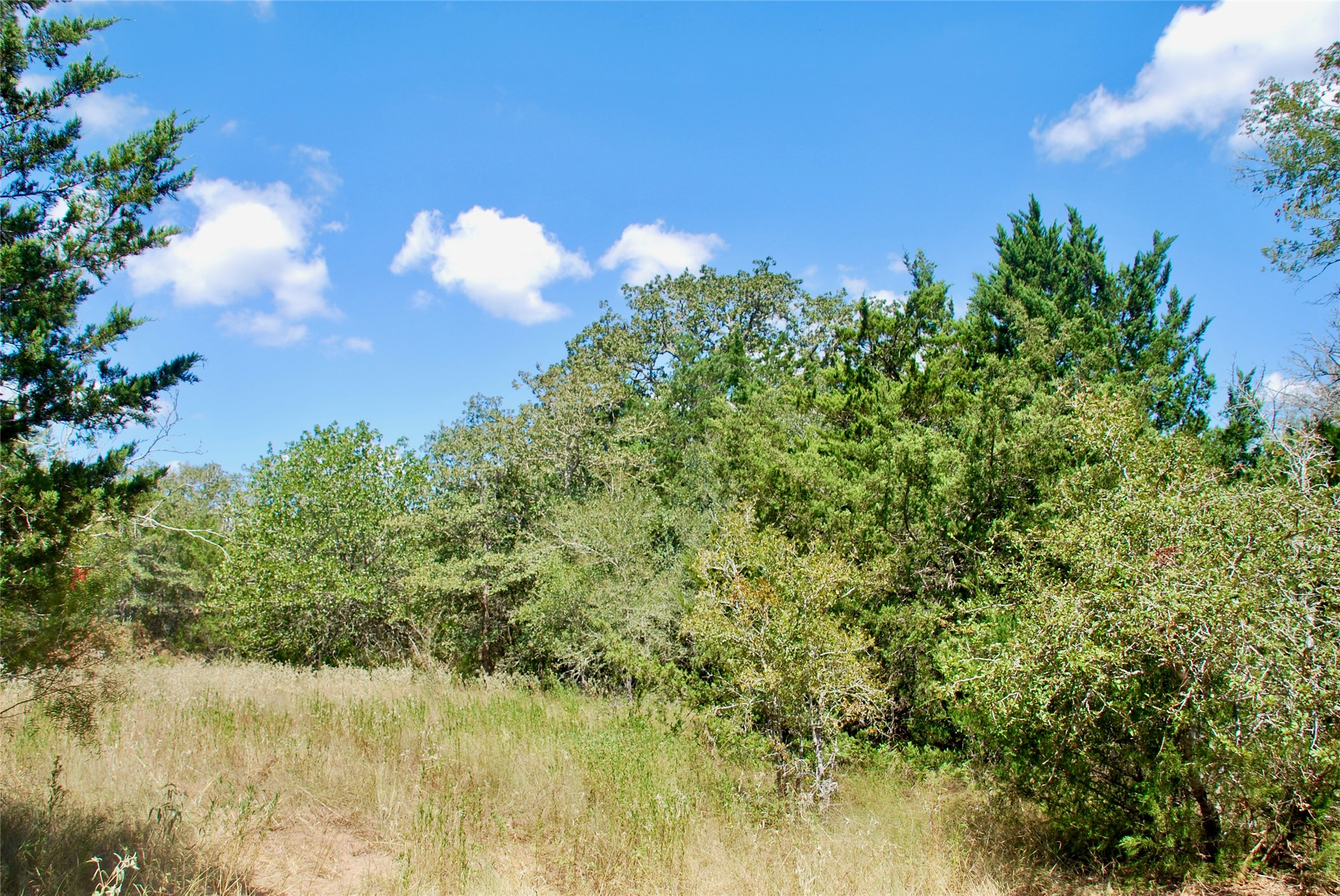 Tbd Rosanky Road Flatonia, TX 78941 - Photo 16 of 22