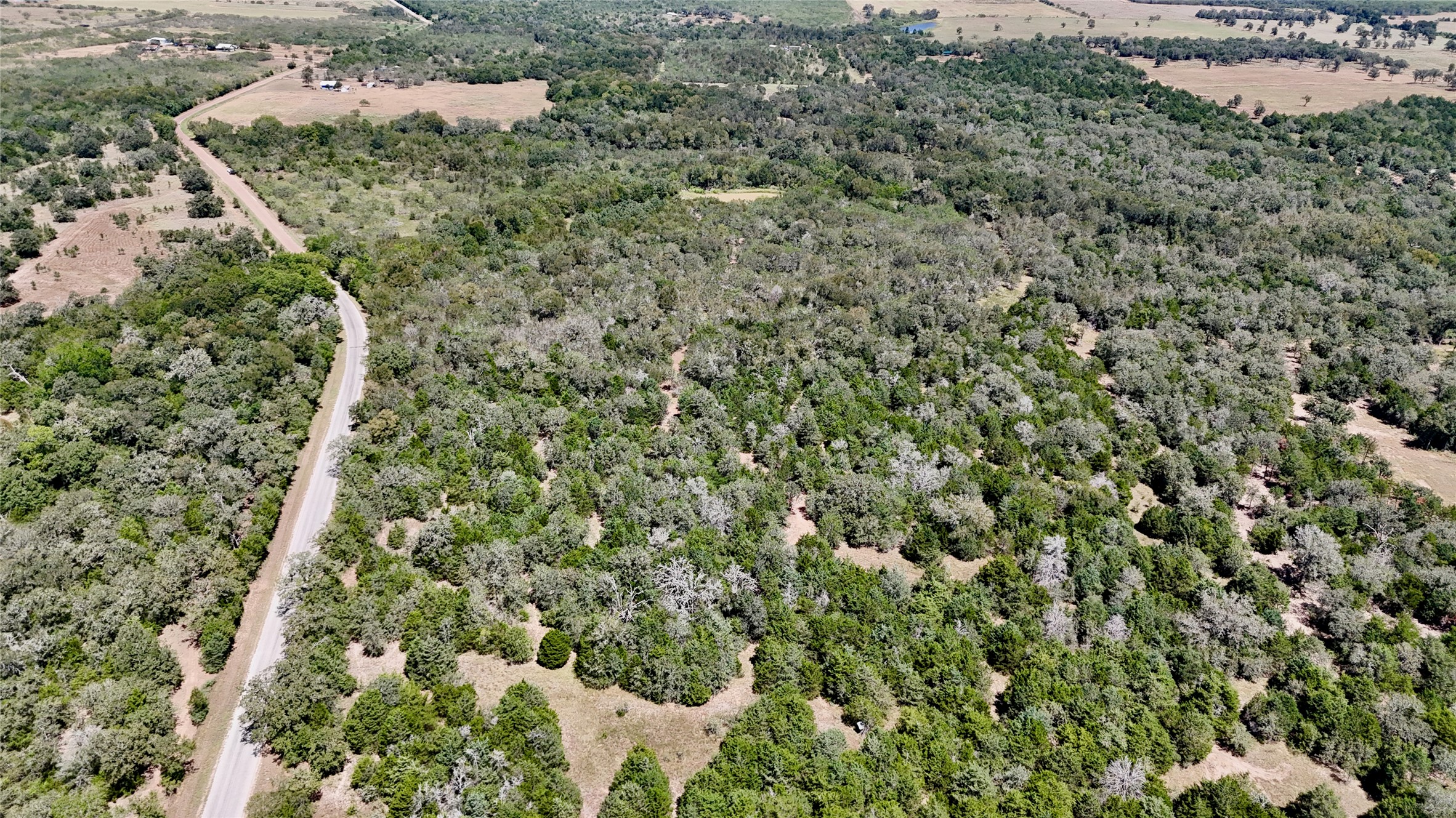 Tbd Rosanky Road Flatonia, TX 78941 - Photo 19 of 22 a view of a bunch of trees and bushes