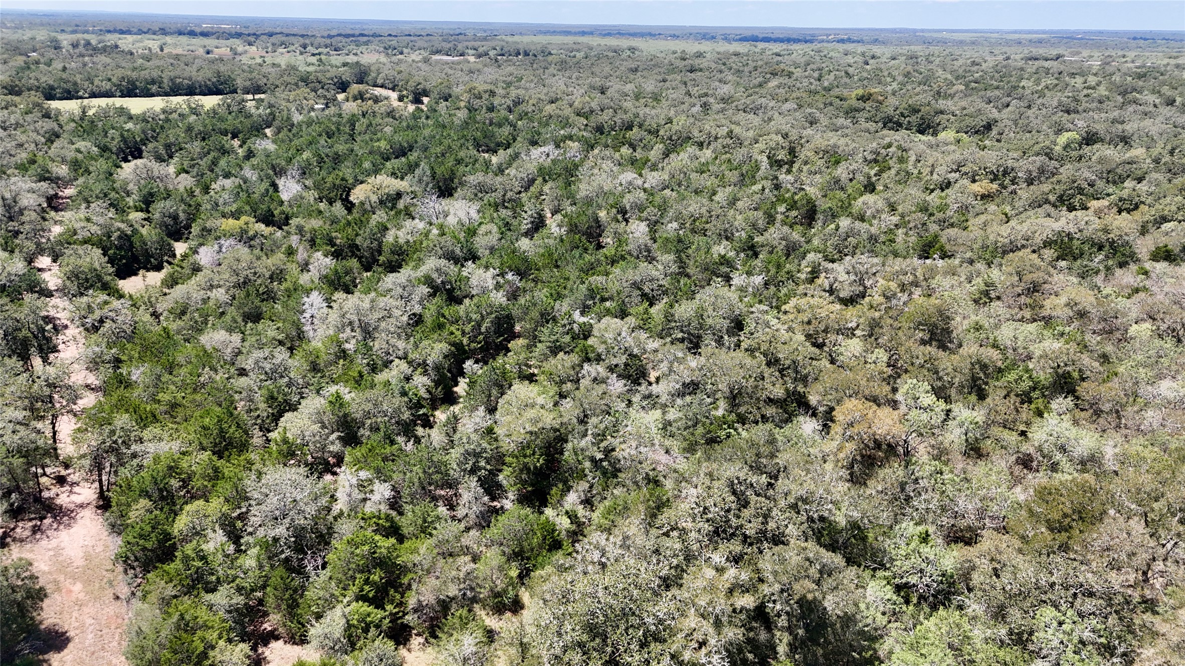 Tbd Rosanky Road Flatonia, TX 78941 - Photo 20 of 22 an aerial view of a houses with a yard