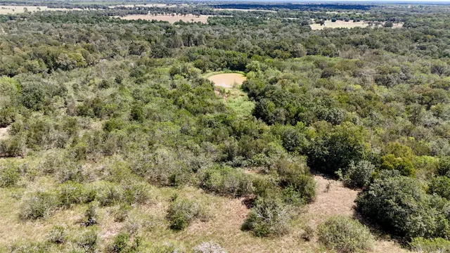 a view of a forest with a houses