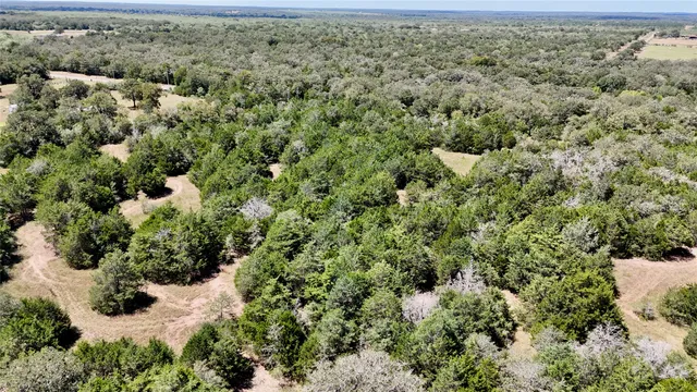 $695,000 | Tbd Rosanky Road, Flatonia, TX 78941