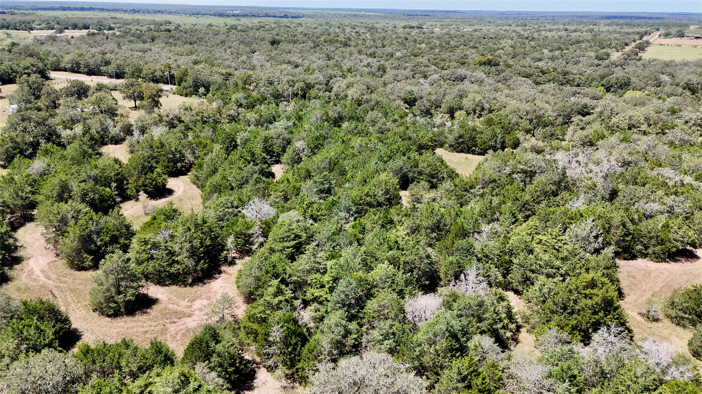 Tbd Rosanky Road Flatonia, TX 78941 - Photo 21 of 22 a view of a forest with a street