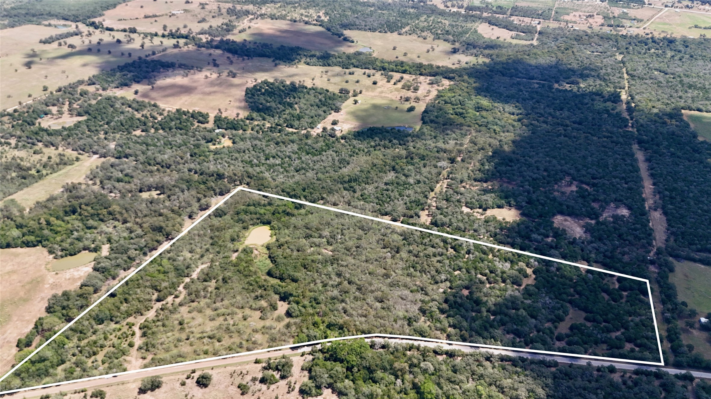 Tbd Rosanky Road Flatonia, TX 78941 - Photo 3 of 22 a view of a forest