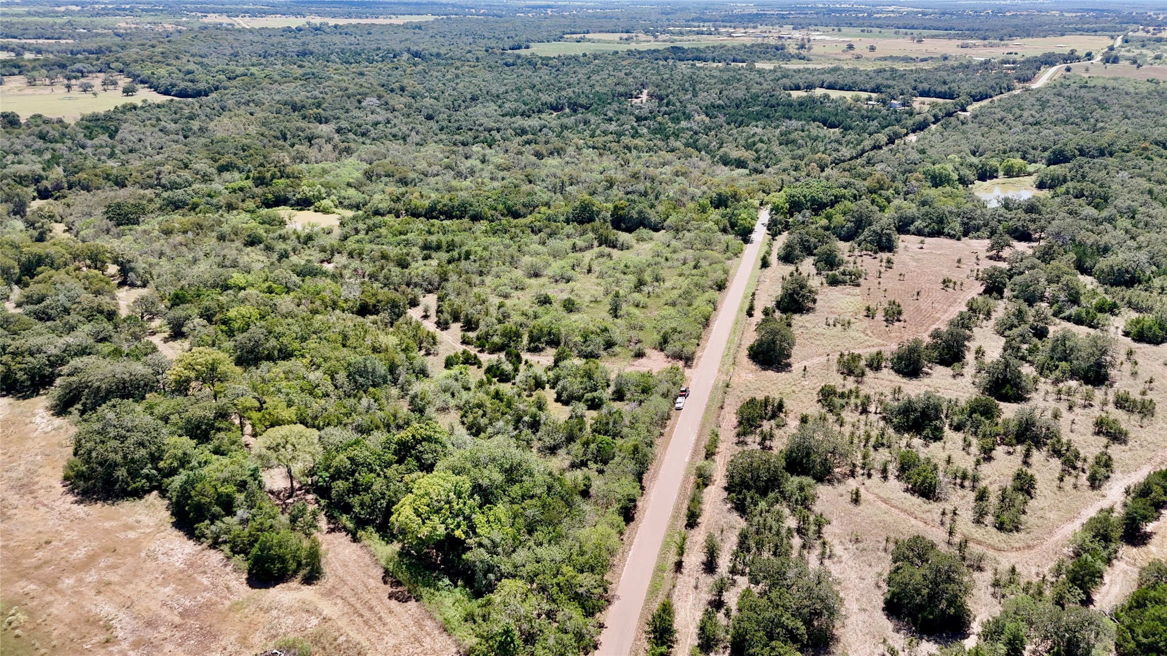 Tbd Rosanky Road Flatonia, TX 78941 - Photo 4 of 22 a view of a forest with a forest