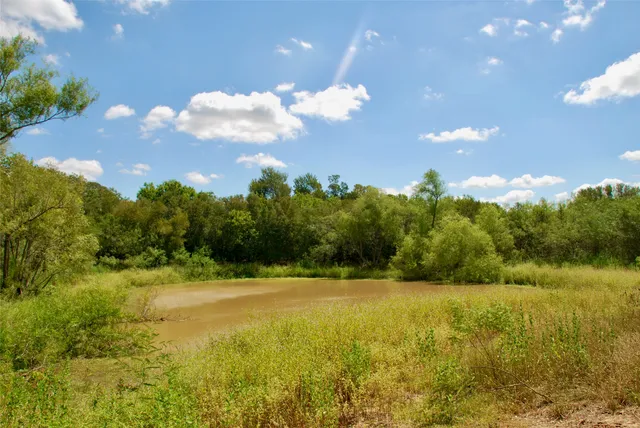 a view of a big yard with swimming pool and green space