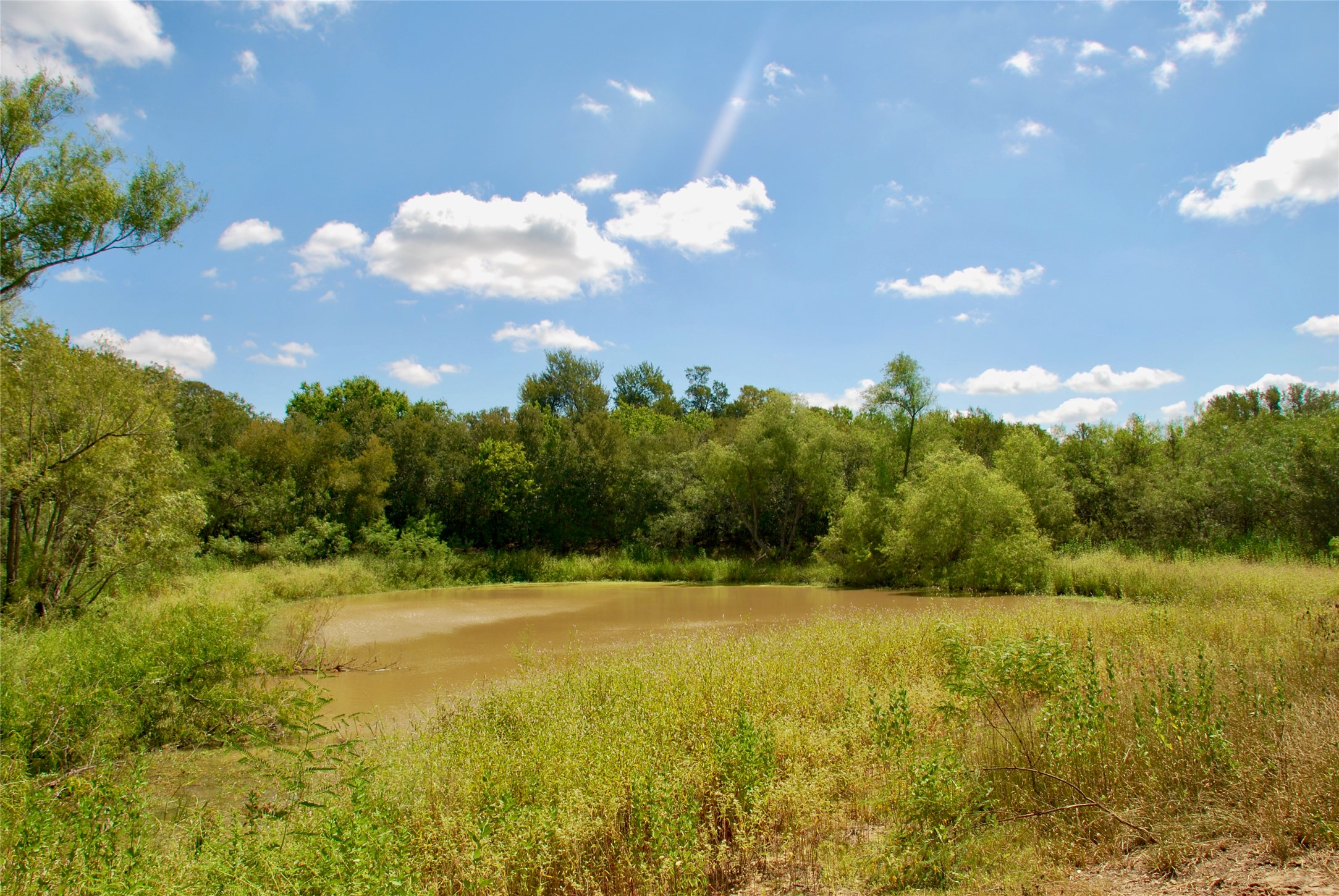 Tbd Rosanky Road Flatonia, TX 78941 - Photo 8 of 22 a view of a big yard with swimming pool and green space