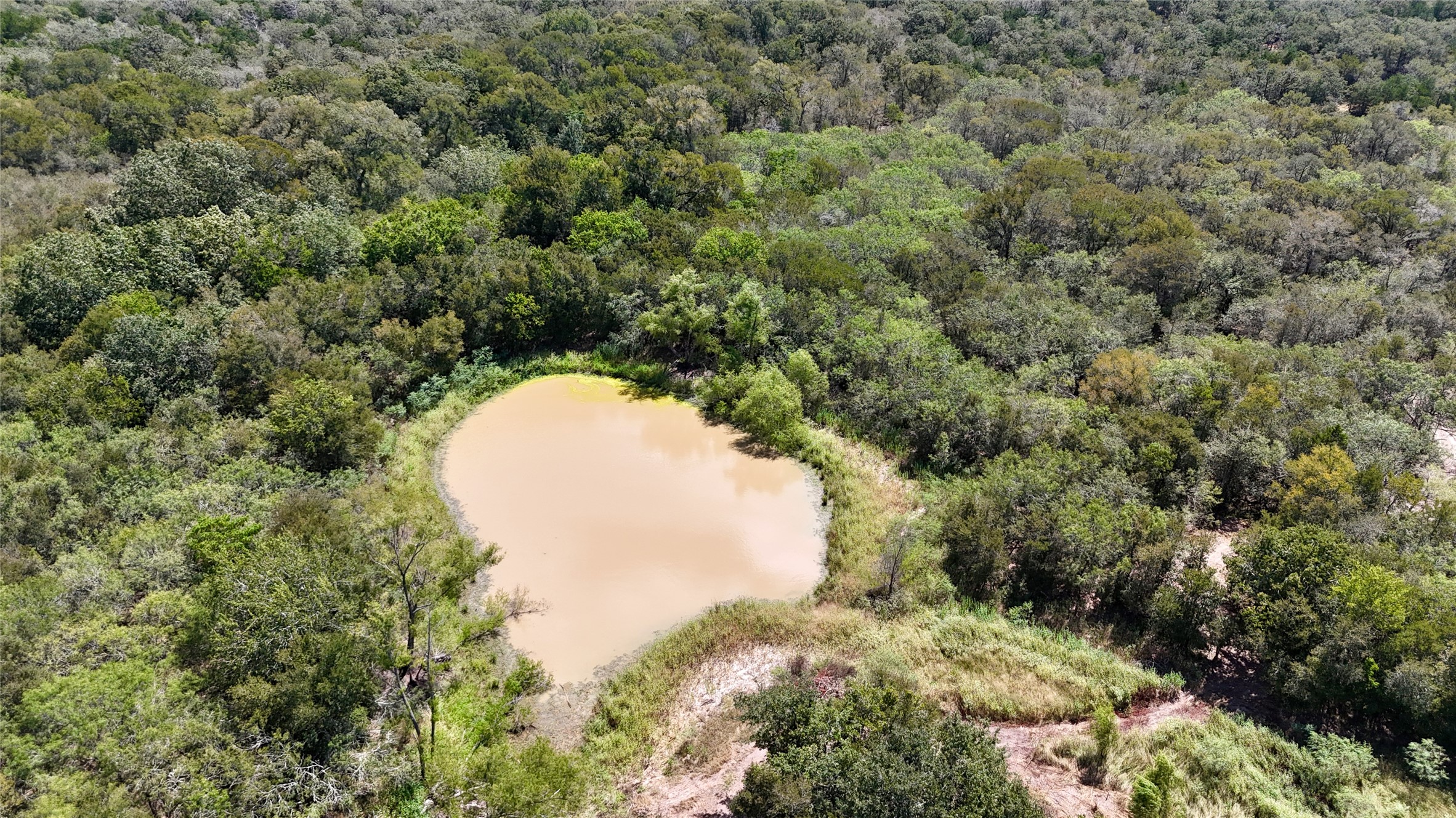 Tbd Rosanky Road Flatonia, TX 78941 - Photo 9 of 22 a view of a yard in a forest