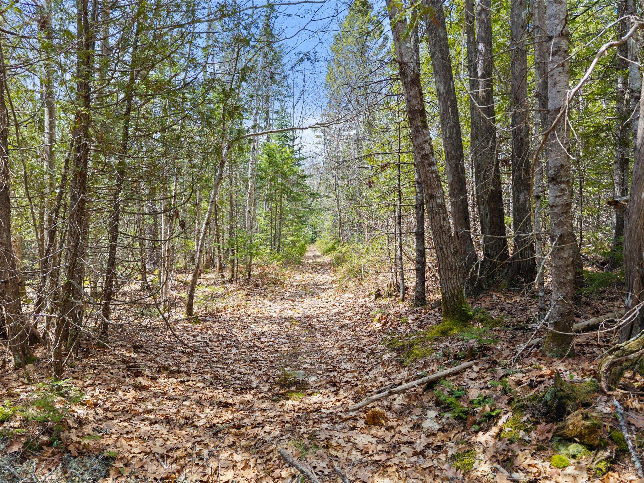 1008 West Bay Road Gouldsboro, ME 04607 - Photo 12 of 41 11-Woods road_trail