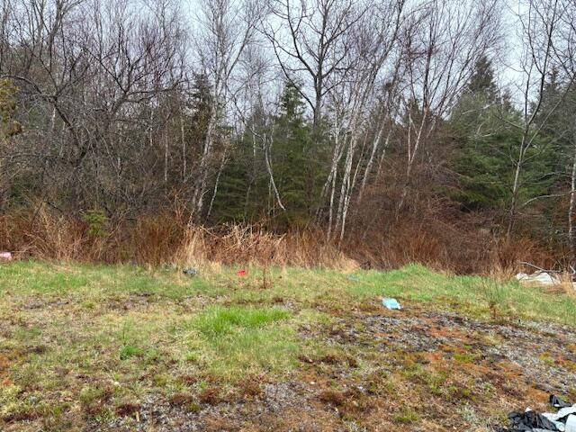 1008 West Bay Road Gouldsboro, ME 04607 - Photo 30 of 41 IMG_5444