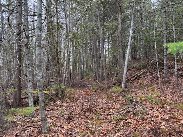 1008 West Bay Road Gouldsboro, ME 04607 - Photo 34 of 41 IMG_5483