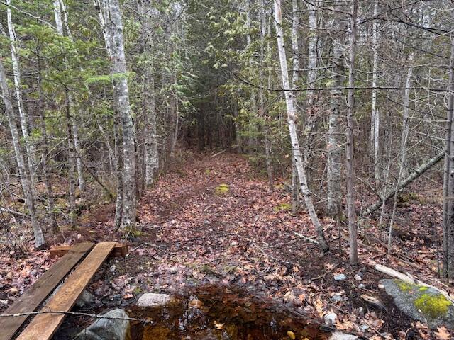 1008 West Bay Road Gouldsboro, ME 04607 - Photo 35 of 41 IMG_5484