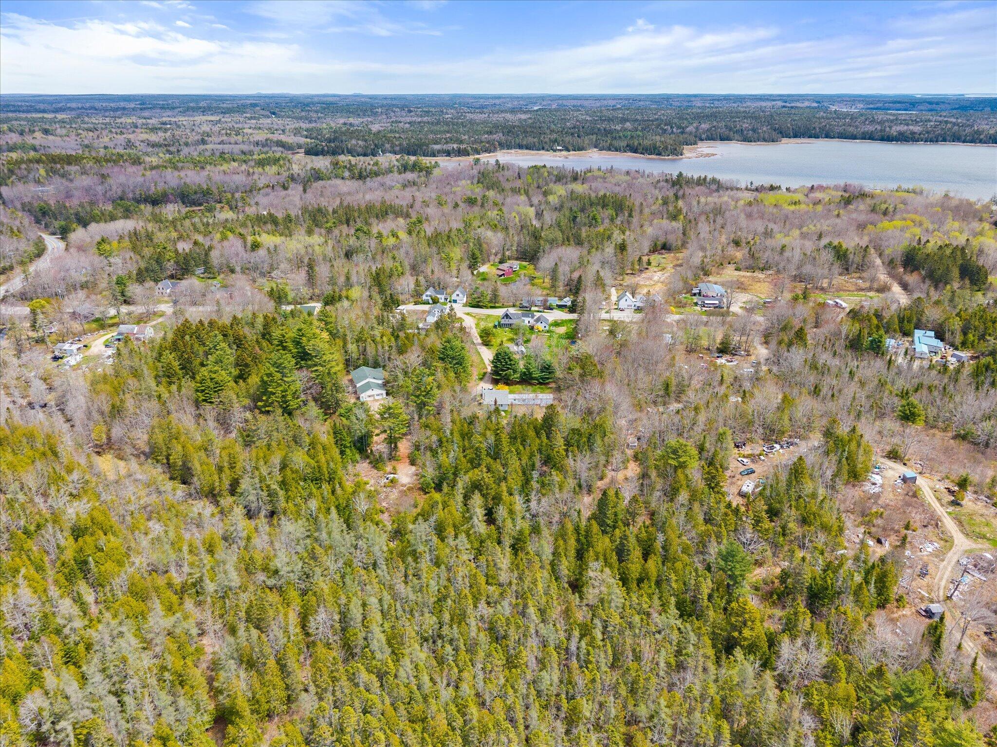 1008 West Bay Road Gouldsboro, ME 04607 - Photo 9 of 41 08-Looking East from mid lot