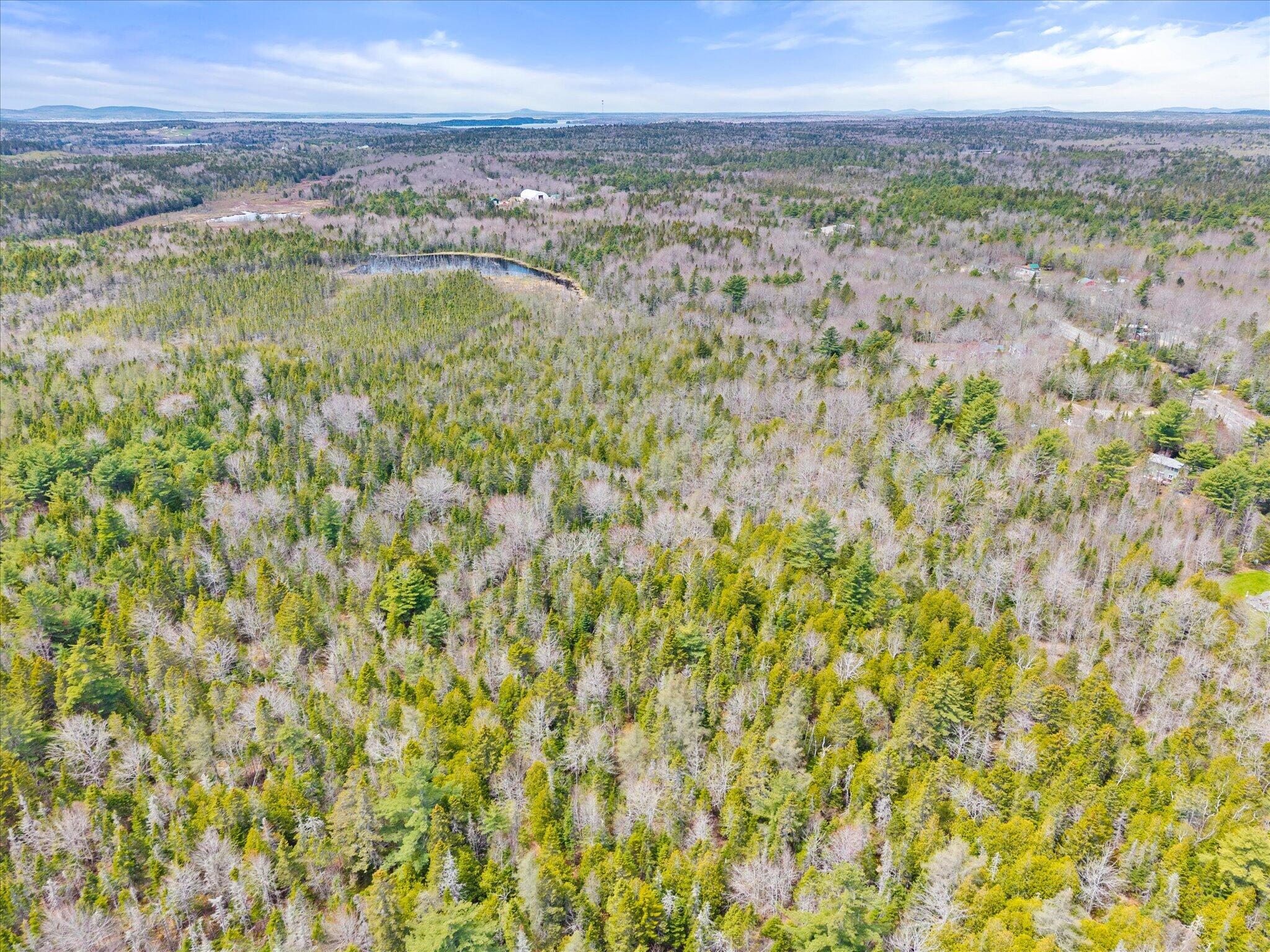 1008 West Bay Road Gouldsboro, ME 04607 - Photo 10 of 41 09-Looking West from mid lot