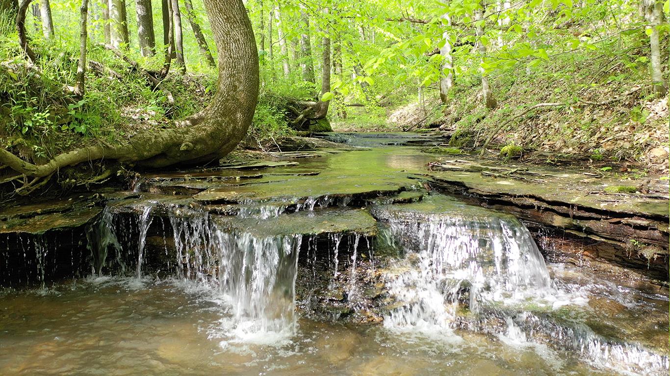 0 Mobley's Cut Road Columbia, TN 38401 - Photo 2 of 27 a view of a lake from a building