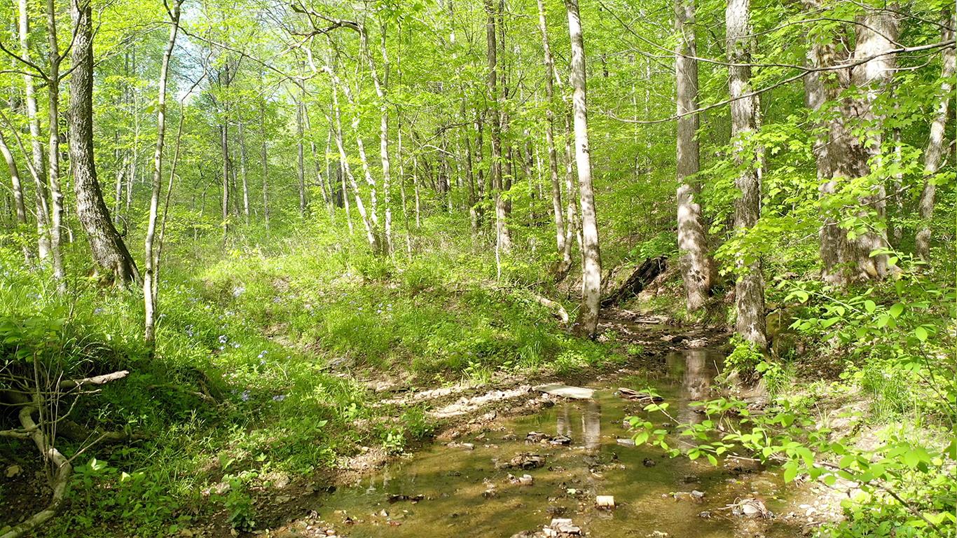 0 Mobley's Cut Road Columbia, TN 38401 - Photo 12 of 27