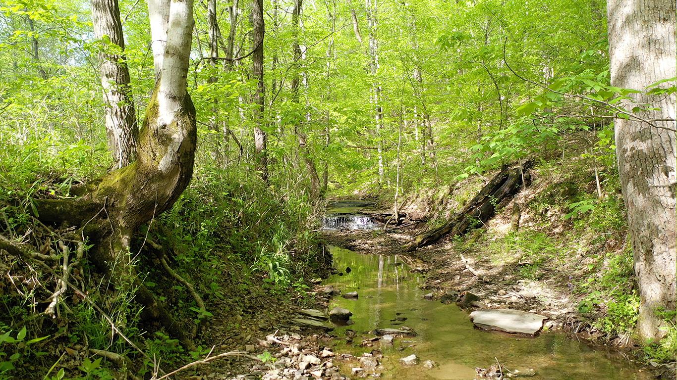 0 Mobley's Cut Road Columbia, TN 38401 - Photo 13 of 27 a view of fountain in middle of the green space
