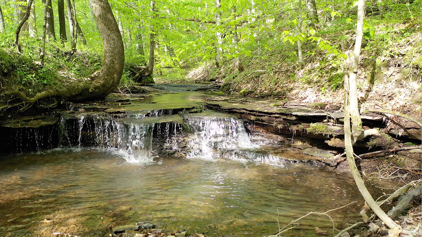 0 Mobley's Cut Road Columbia, TN 38401 - Photo 14 of 27 a view of swimming pool with a yard