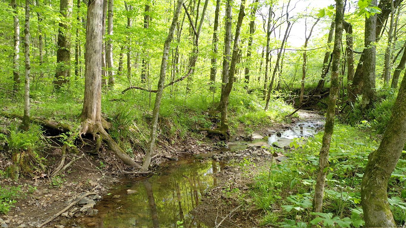 0 Mobley's Cut Road Columbia, TN 38401 - Photo 15 of 27 a view of yard