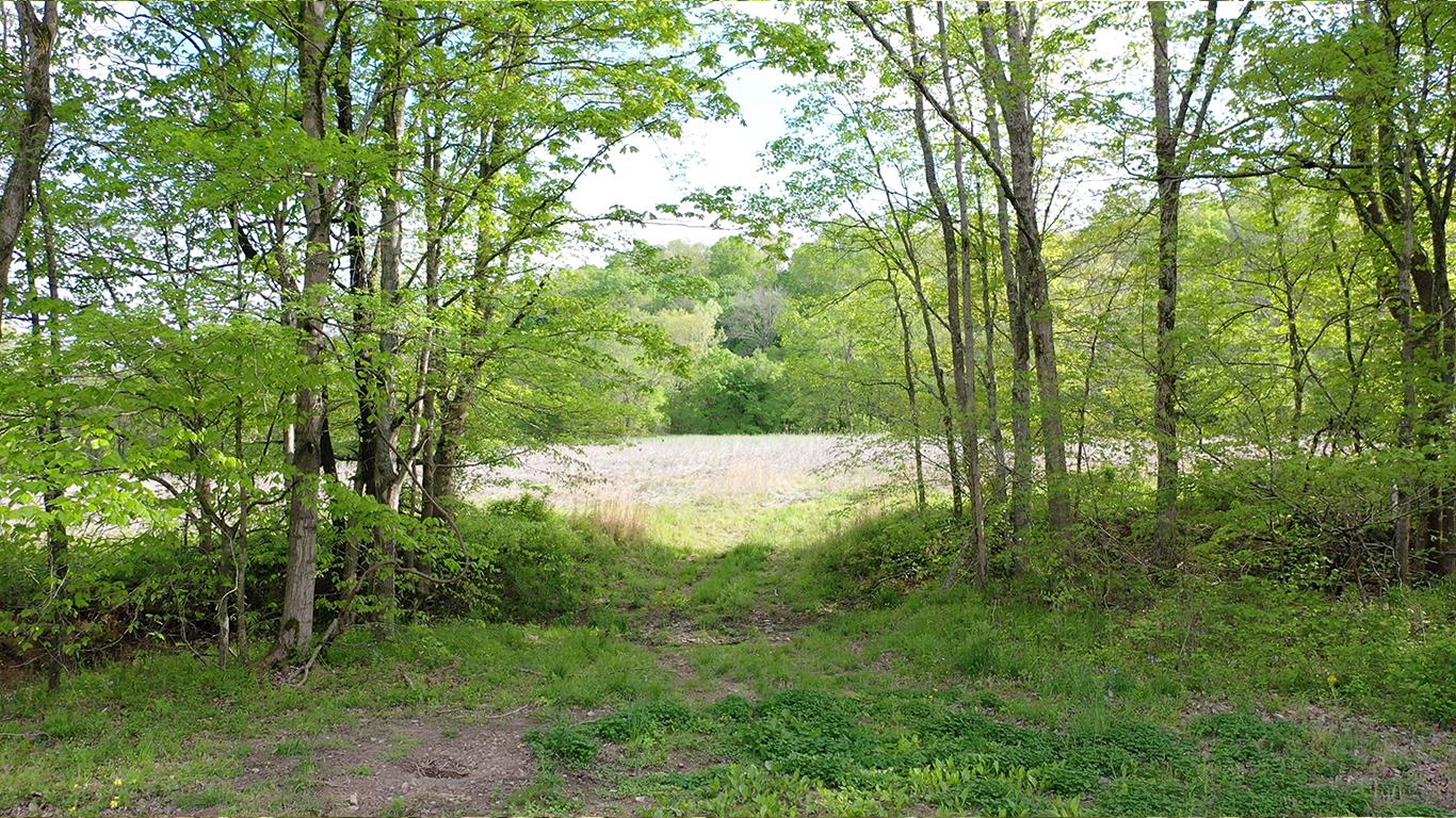0 Mobley's Cut Road Columbia, TN 38401 - Photo 16 of 27 a view of outdoor space and yard