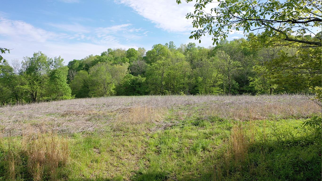 0 Mobley's Cut Road Columbia, TN 38401 - Photo 17 of 27