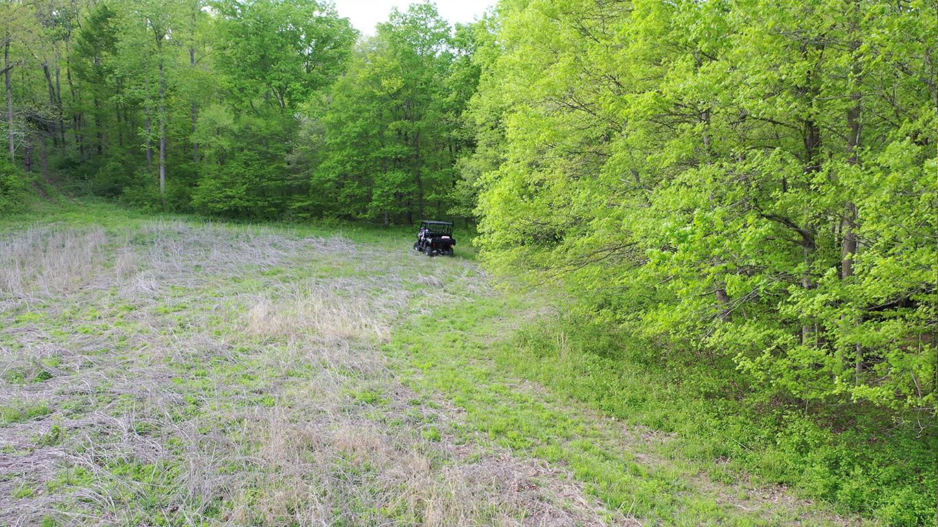 0 Mobley's Cut Road Columbia, TN 38401 - Photo 18 of 27 a view of outdoor space and trees