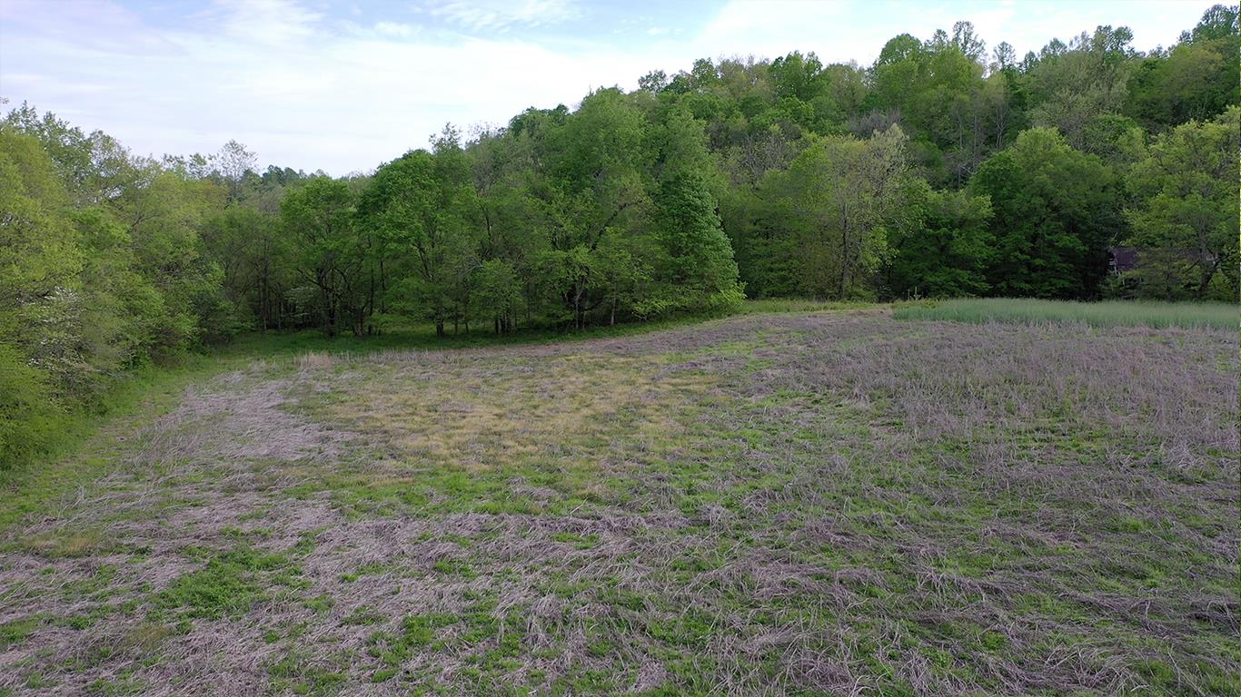 0 Mobley's Cut Road Columbia, TN 38401 - Photo 19 of 27 a view of a field with trees in the background