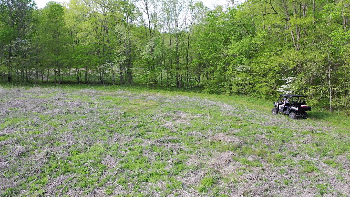 0 Mobley's Cut Road Columbia, TN 38401 - Photo 20 of 27 a backyard of a house with lots of green space
