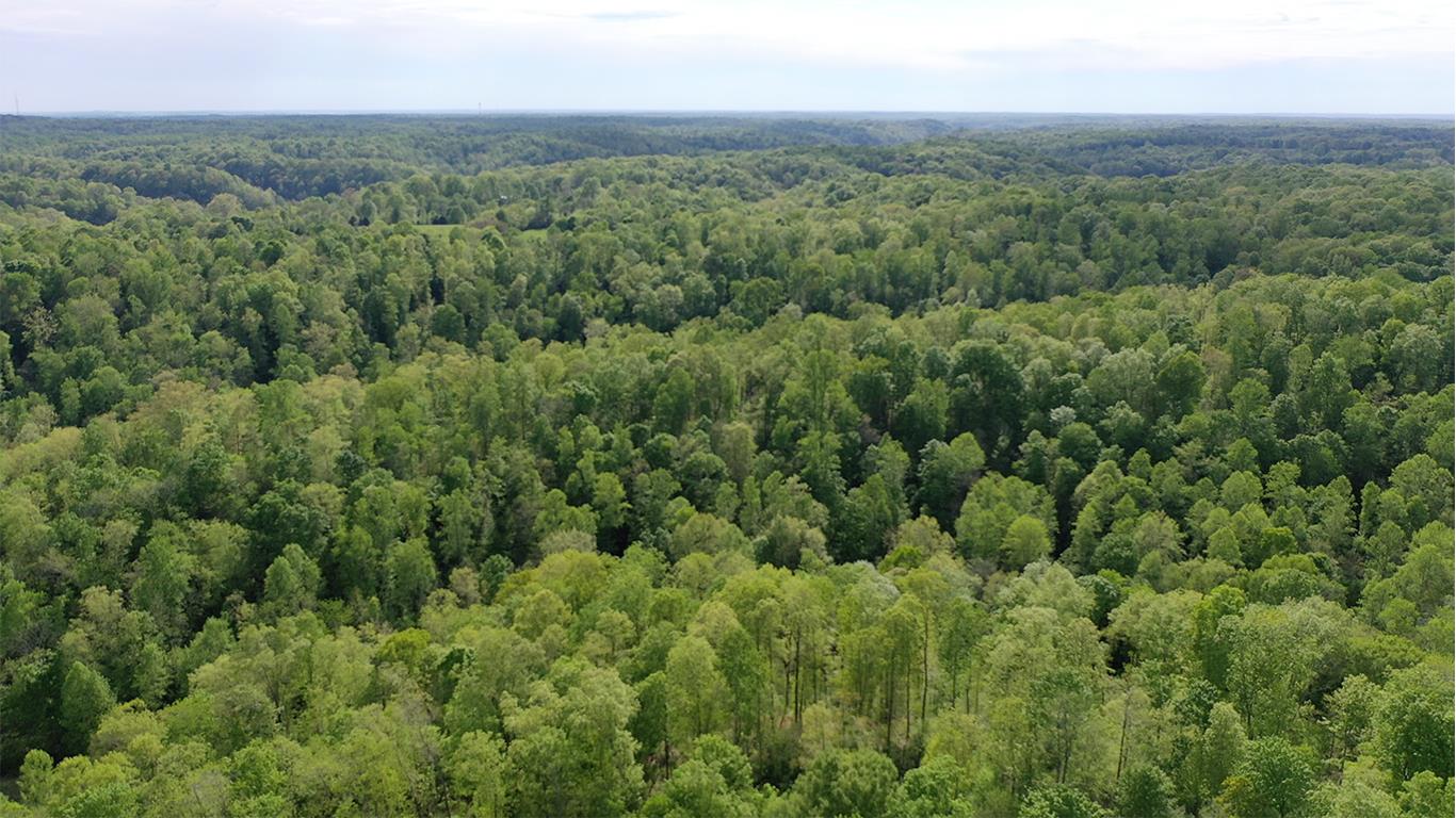 0 Mobley's Cut Road Columbia, TN 38401 - Photo 3 of 27 a view of a city with lush green forest