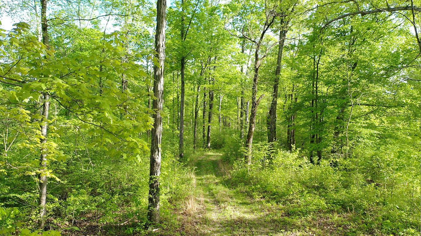 0 Mobley's Cut Road Columbia, TN 38401 - Photo 23 of 27 a view of a garden