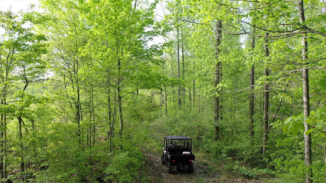 0 Mobley's Cut Road Columbia, TN 38401 - Photo 25 of 27 a view of a lush green forest