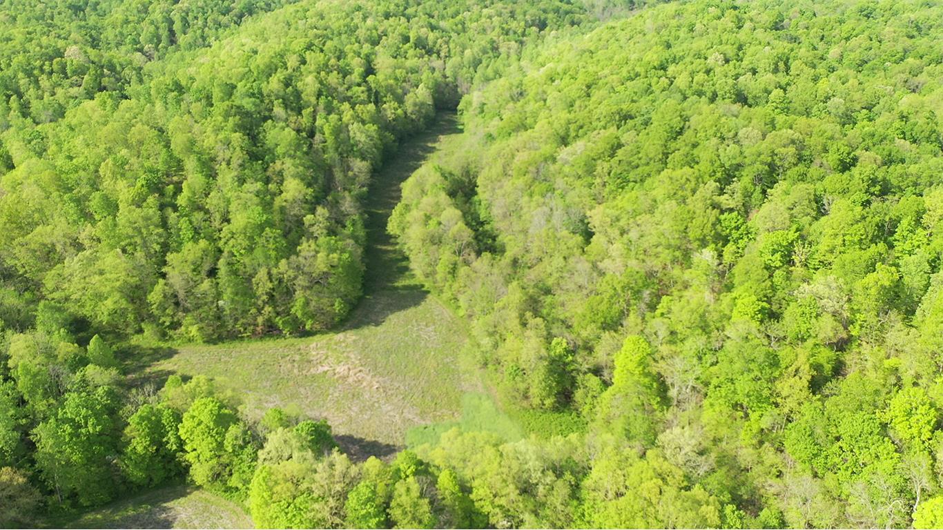 0 Mobley's Cut Road Columbia, TN 38401 - Photo 4 of 27 a view of a yard