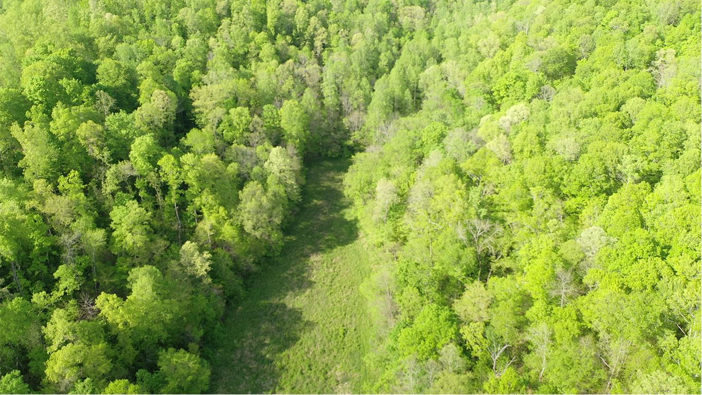 0 Mobley's Cut Road Columbia, TN 38401 - Photo 5 of 27