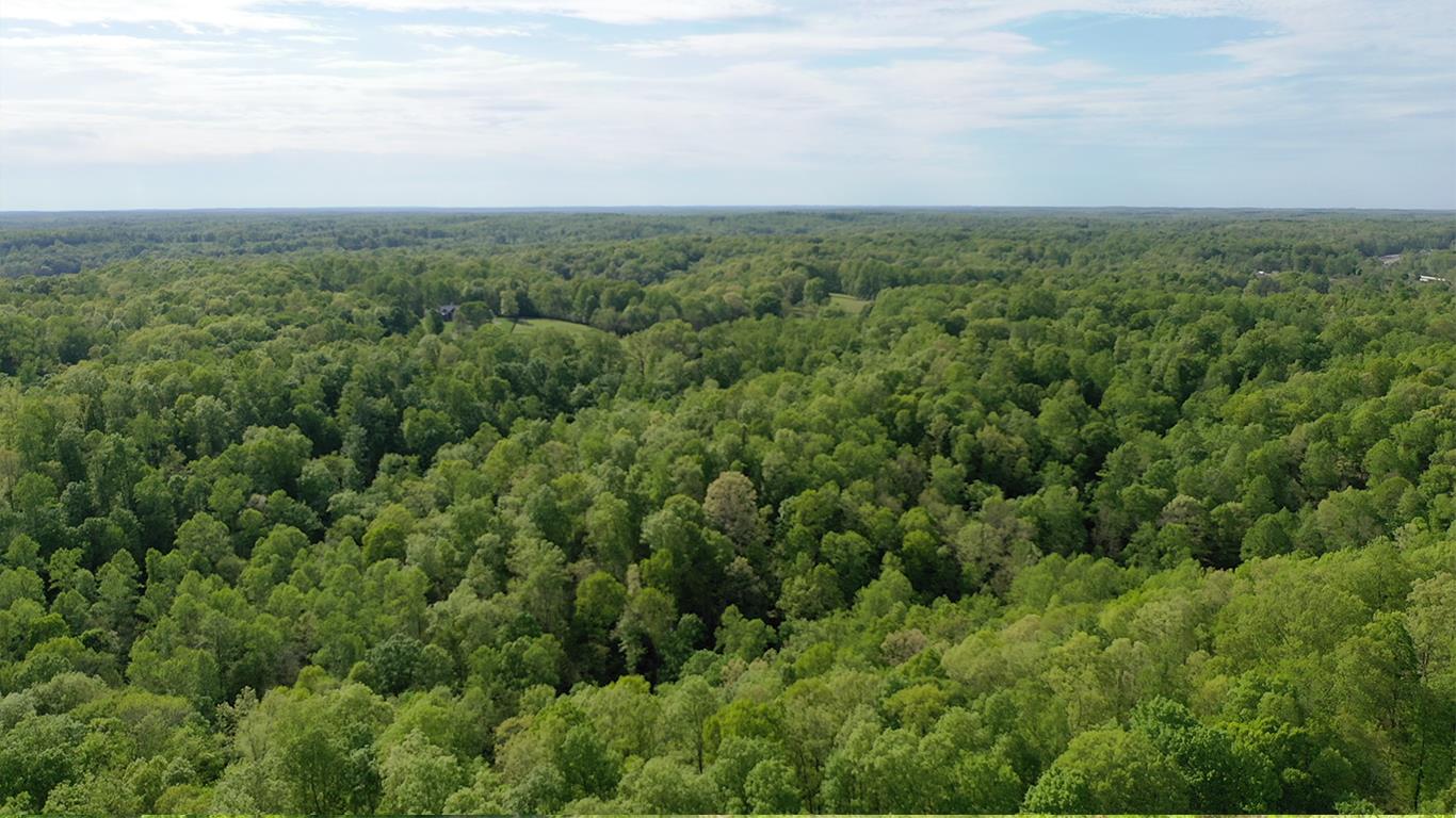 0 Mobley's Cut Road Columbia, TN 38401 - Photo 6 of 27 an aerial view of residential houses with outdoor space and trees