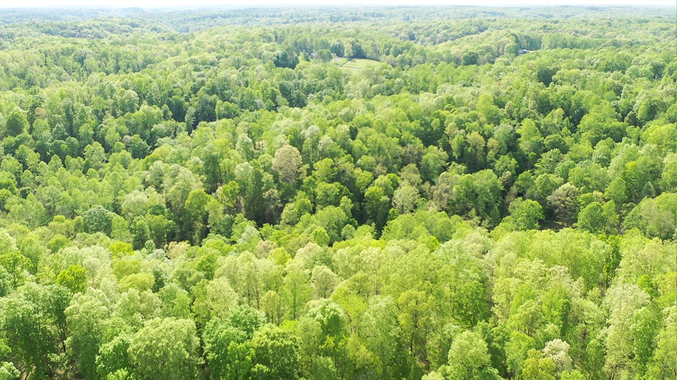 0 Mobley's Cut Road Columbia, TN 38401 - Photo 8 of 27 an aerial view of residential house with parking space
