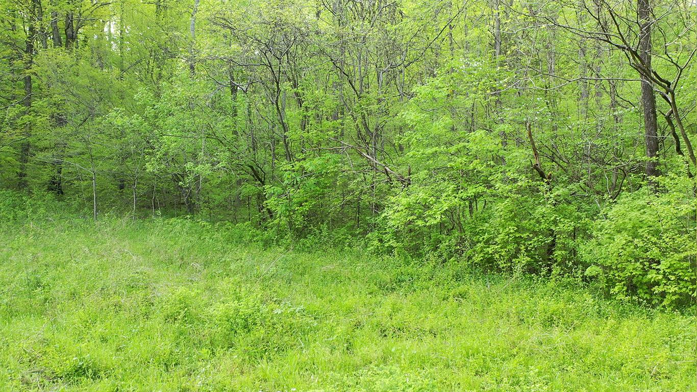 0 Mobley's Cut Road Columbia, TN 38401 - Photo 9 of 27 a view of a lush green space