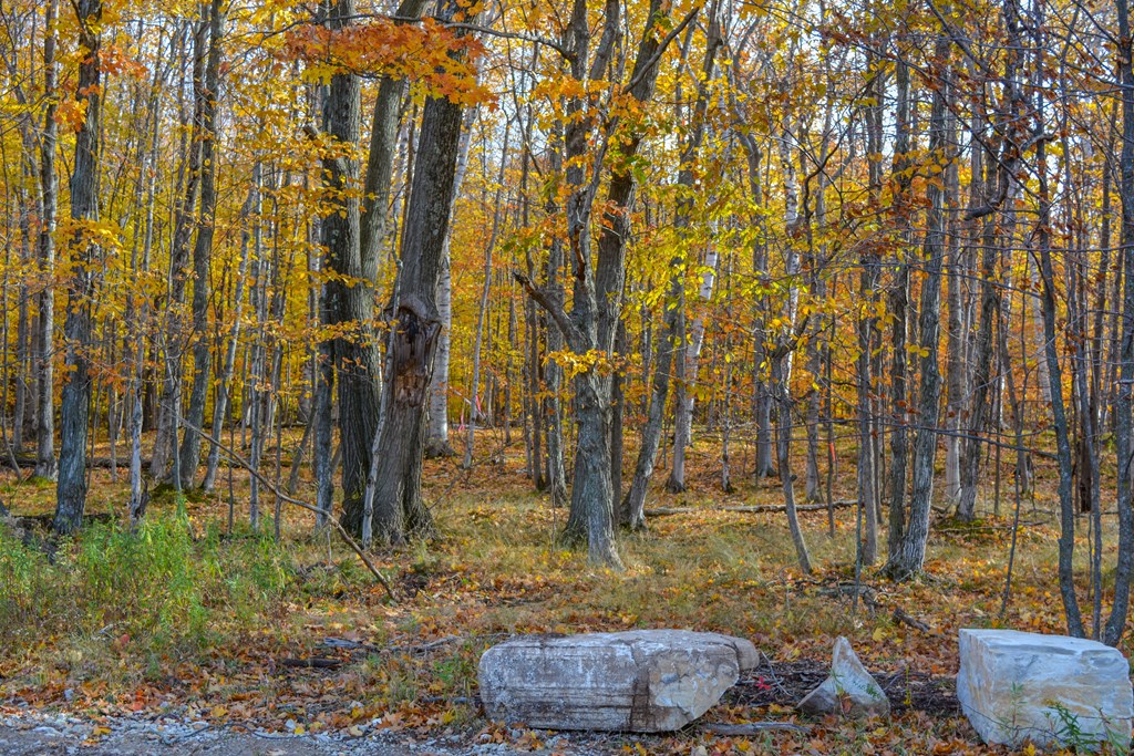 Bluff Lane Fish Creek, WI 54212 - Photo 2 of 9