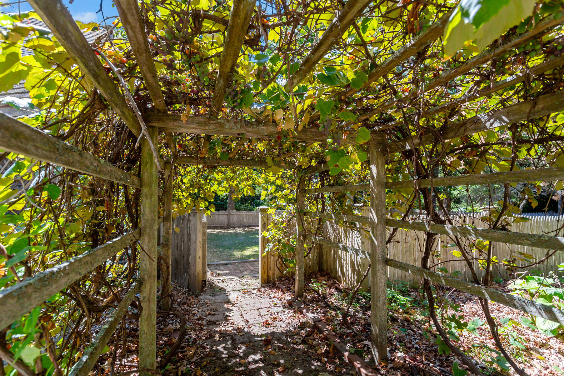 a backyard of a house with lots of green space