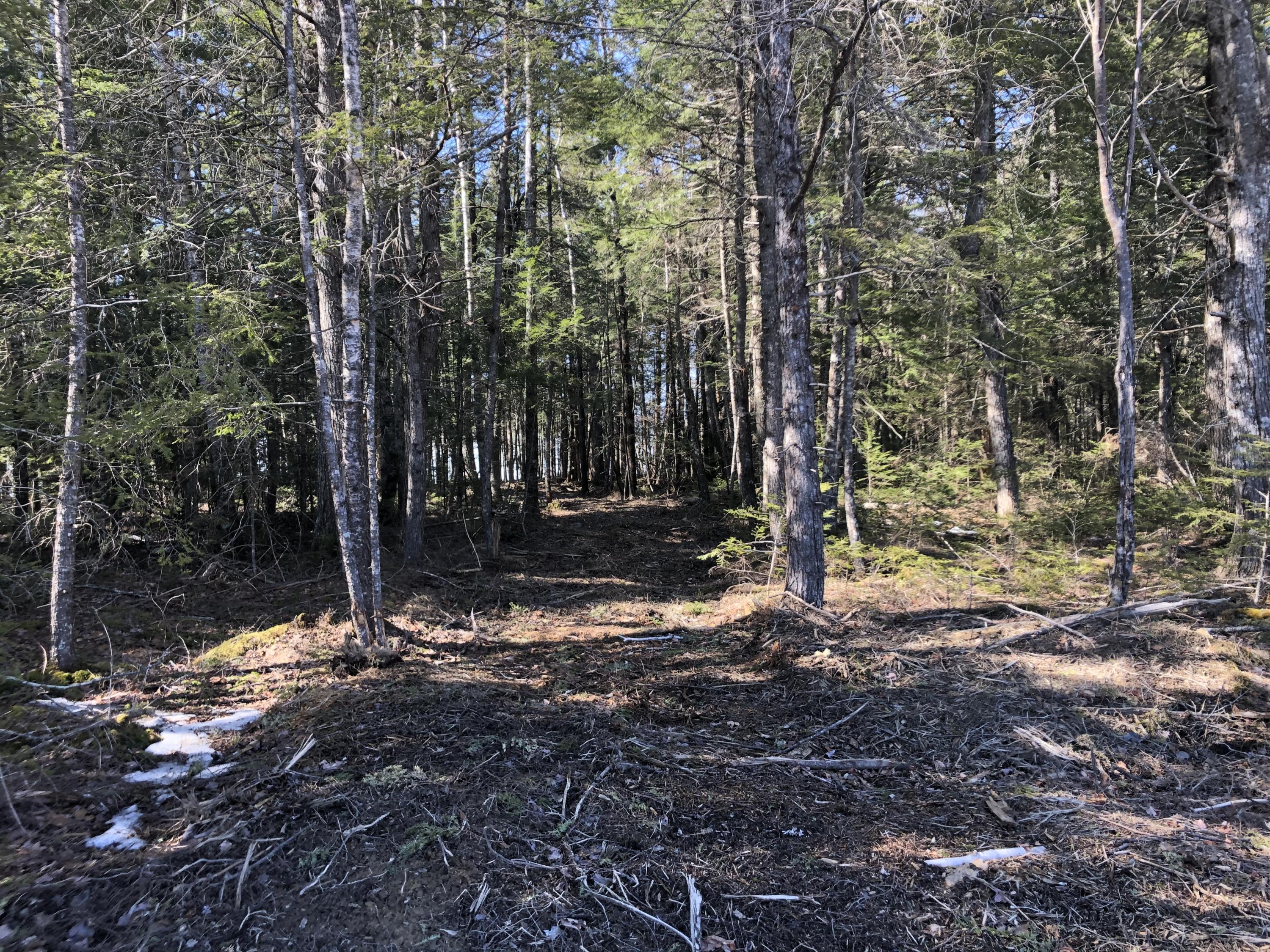 103 Moose Trail Road Ellsworth, ME 04605 - Photo 9 of 14 IMG-4439 (1)