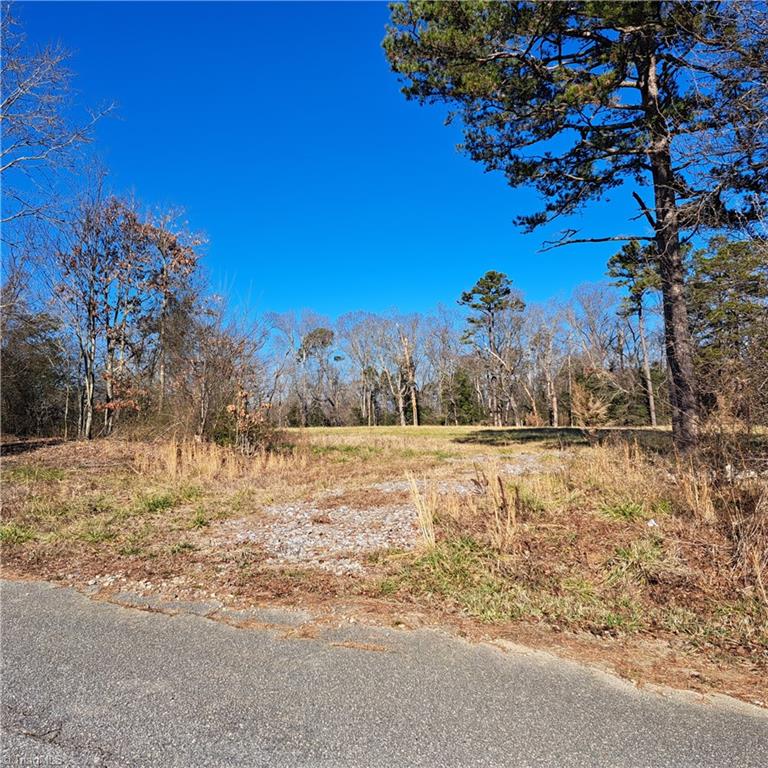 Tbd Tbd Viewmont Lane Ronda, NC 28670 - Photo 3 of 14 Gallery Image 3