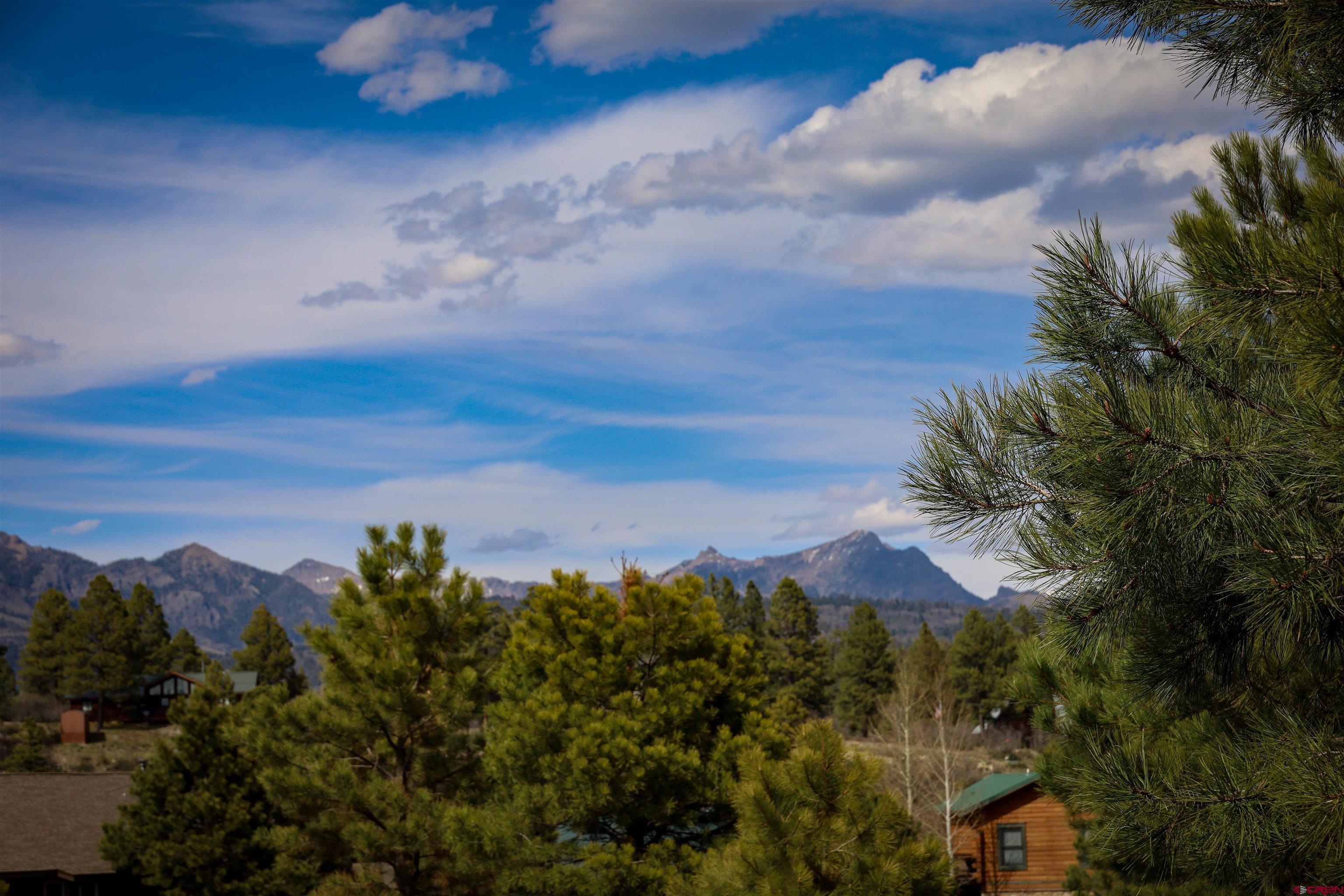 403 Falcon Place Pagosa Springs, CO 81147 - Photo 43 of 45