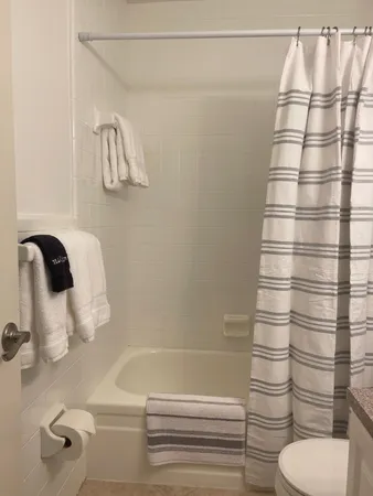 a bathroom with a bathtub and shower