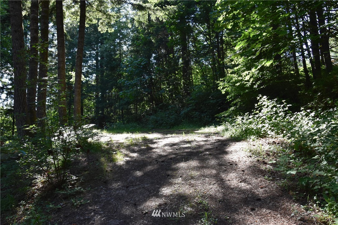 455 Bryant Road Woodland, WA 98674 - Photo 24 of 24