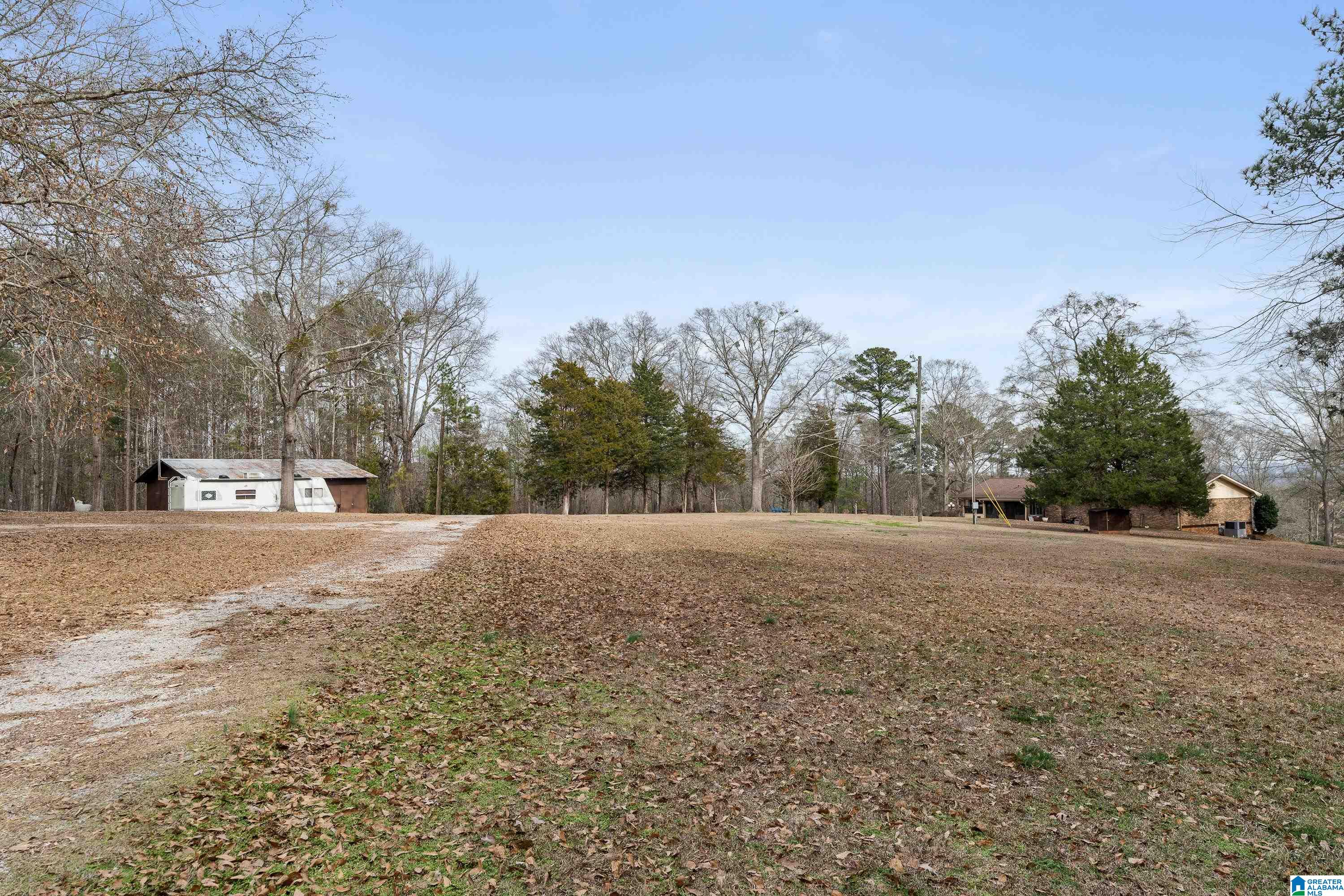 4175 Logan Martin Dam Road Cropwell, AL 35054 - Photo 33 of 47