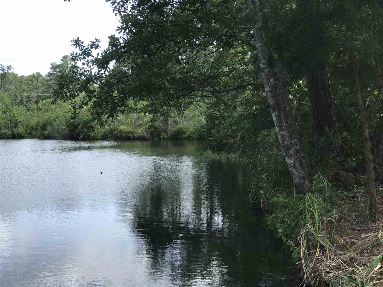 0 Boynton Road Elberta, AL 36530 - Photo 4 of 29
