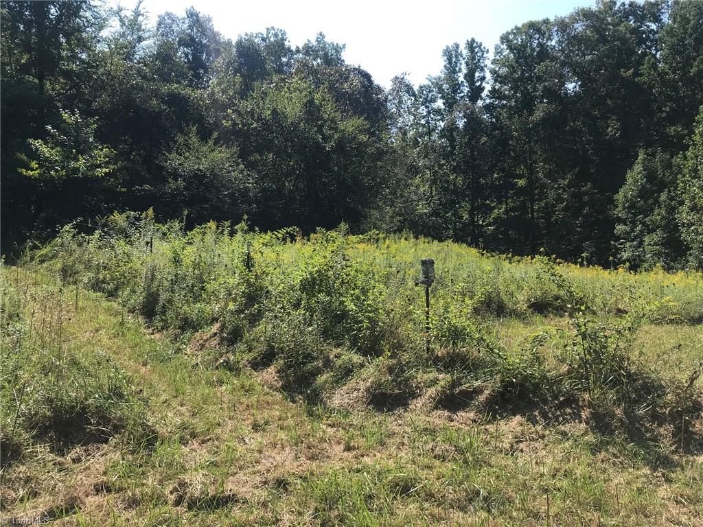 1283 Red Bank Road Germanton, NC 27019 - Photo 4 of 13 Gallery Image 4