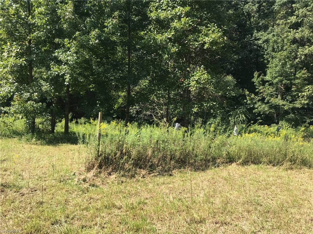 1283 Red Bank Road Germanton, NC 27019 - Photo 9 of 13 Gallery Image 9